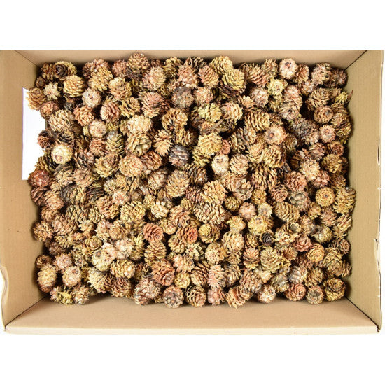 Salignum natur inchis 2kg