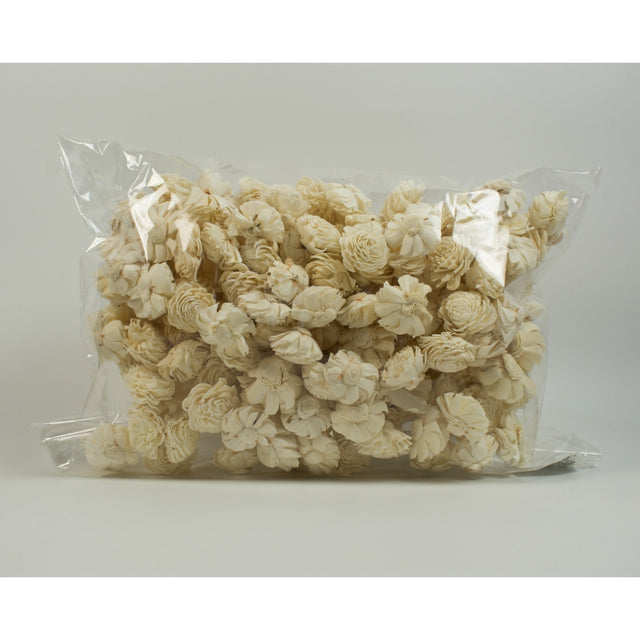 Capete anemone ming 4cm natur 250buc/pachet