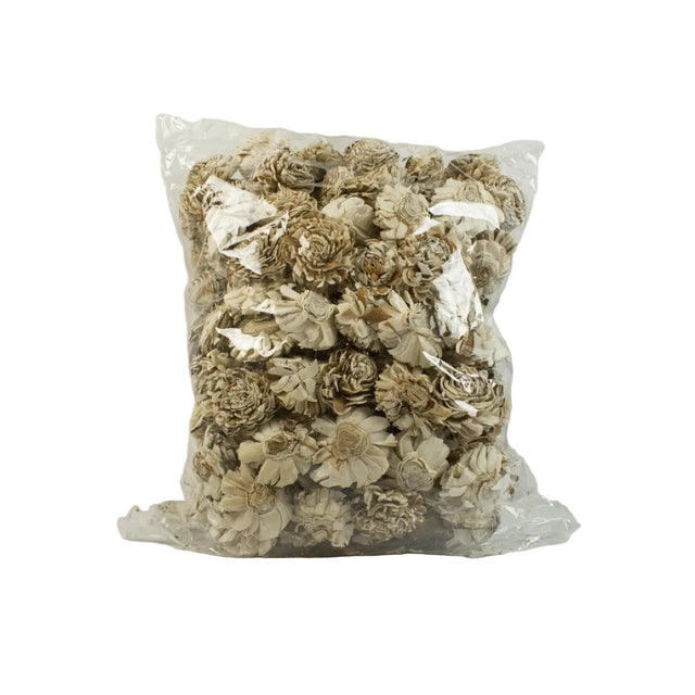 Capete anemone ming 6cm cirmos natur 200buc/pachet
