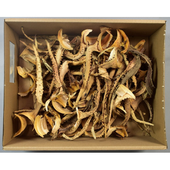 Frunze Aloe natur, 65buc/pachet