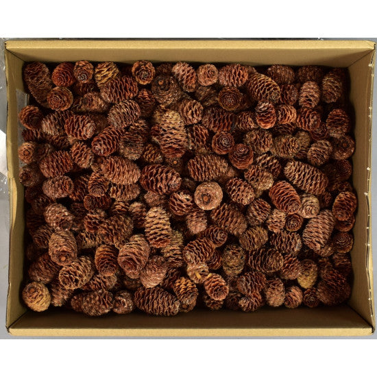 Sabulosum inchis natur 2.7kg