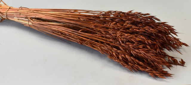 Image for Ovaz 150gr maro