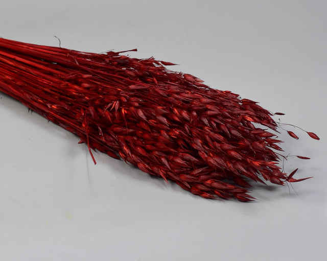 Image for Ovaz 150gr bordeaux