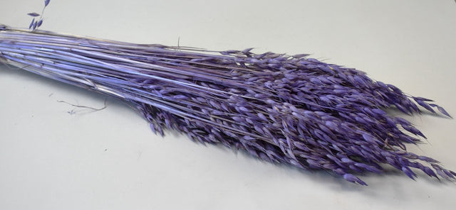 Image for Ovaz 150gr inalbit mov