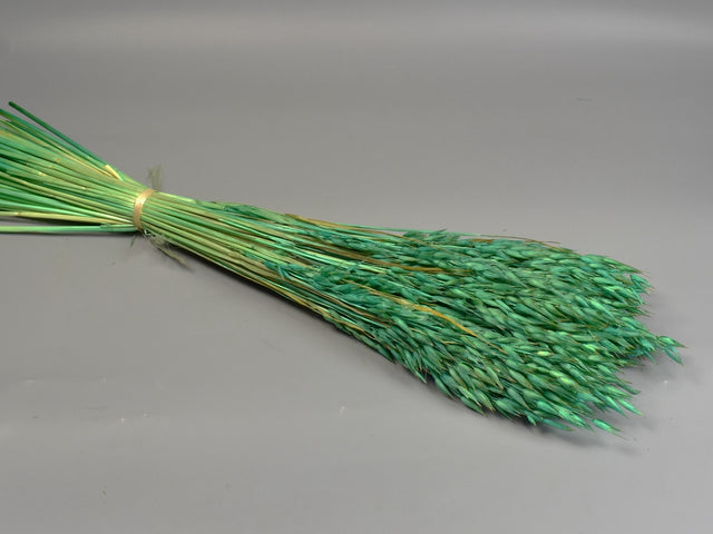 Image for Ovaz 150g inalbit turcoaz