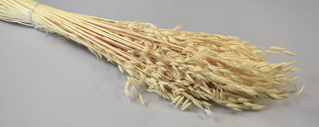 Image for Ovaz 150gr inalbit