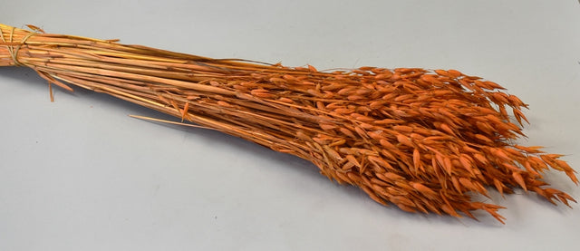 Image for Ovaz 150gr portocaliu