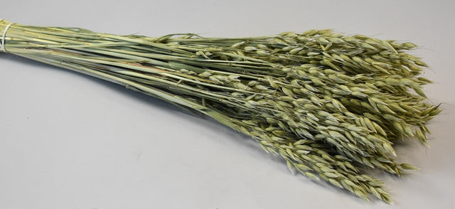 Image for Ovaz 150gr natur