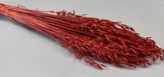 Image for Ovaz 150gr rosu