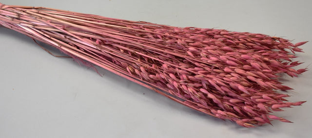 Image for Ovaz 150gr roz