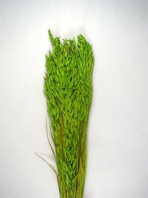 Image for Ovaz 150g verde deschis