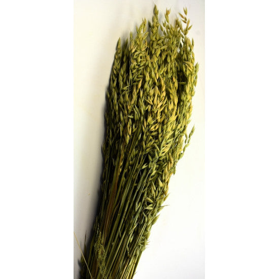 imagine produs Ovaz 500gr natur