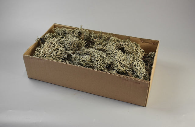 Image for Lichien 0,25kg