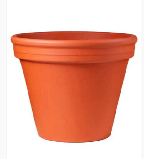 Vase din lut