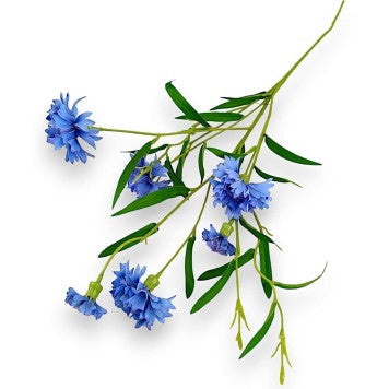 Produse sezoniere