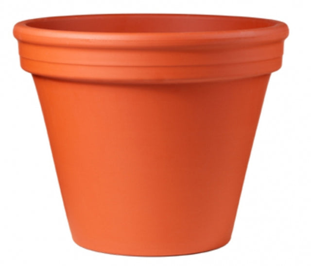 imagine produs Vas lut 6cm