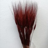 Grau cu spic lung bordeaux