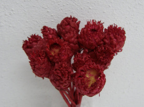 imagine produs Ochiul dracului