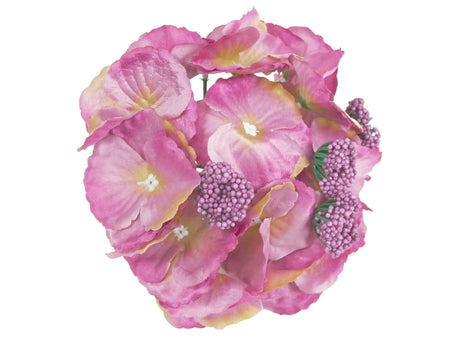 imagine produs Cap hortensie 16cm mauve