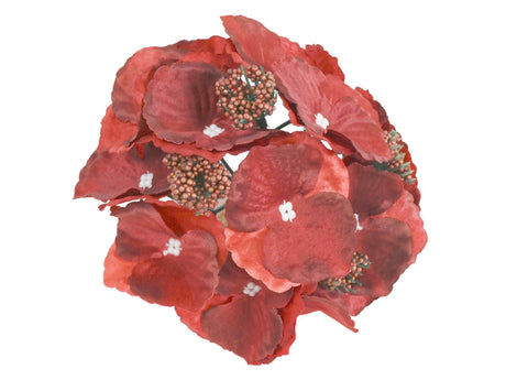 imagine produs Cap hortensie 16cm rosu inchis