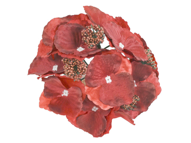 imagine produs Cap hortensie 16cm rosu inchis