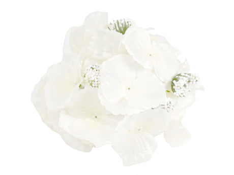 imagine produs Cap hortensie 16cm alb