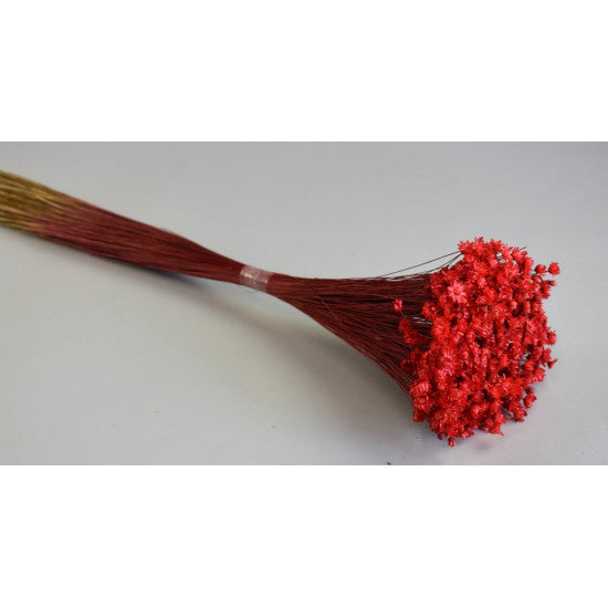 Glixia 50g rosu