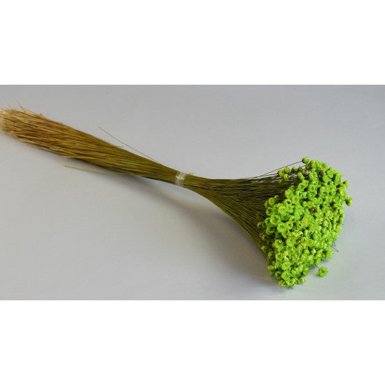 Glixia 50g verde deschis