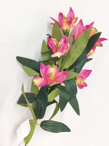 imagine produs Creanga astromelia  60cm cyclam