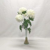 Buchet crizanteme x7 crem