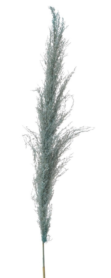 imagine produs Iarba pampas 130cm albastru inchis