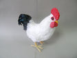 imagine produs Cocos din pene 35cm 122188