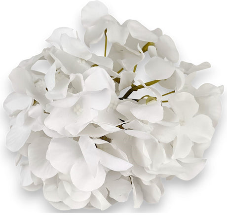 imagine produs Capete hortensie 15cm S/12 alb
