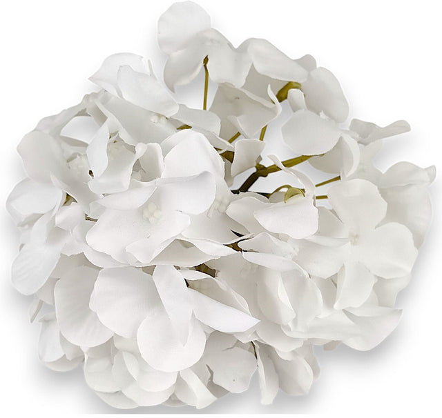 imagine produs Capete hortensie 15cm S/12 alb