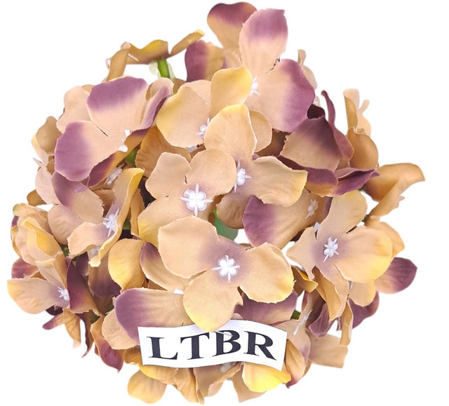 Capete hortensie 15cm s/12 maro