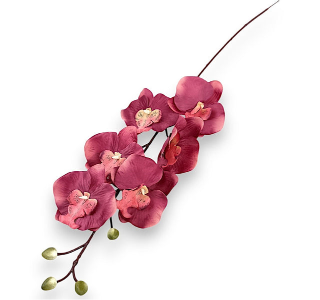 Fir orhidee 80cm S/6 burgundy deschis