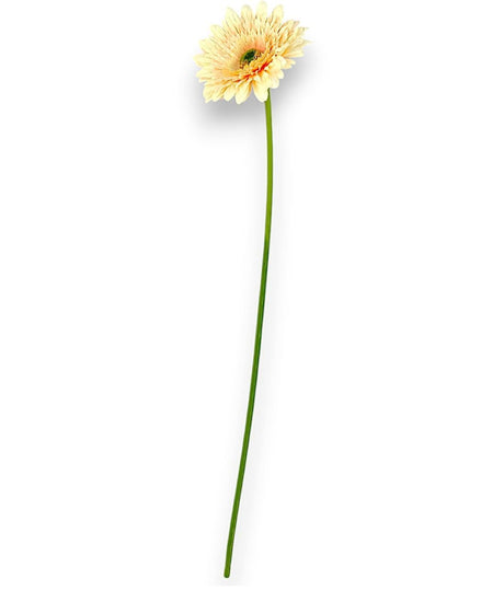 imagine produs Fir gerbera H:60 cm piersica