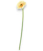 imagine produs Fir gerbera H:60 cm piersica