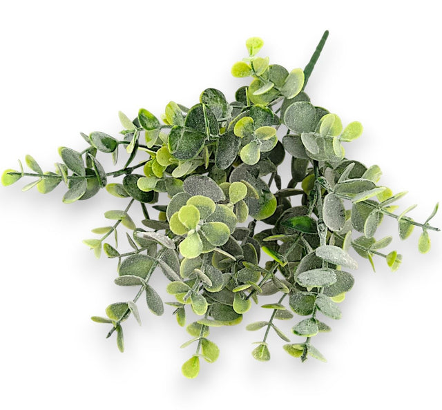 Buchet eucalypt x7