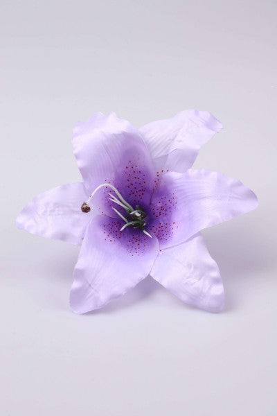 imagine produs Cap crini 12cm s/12
