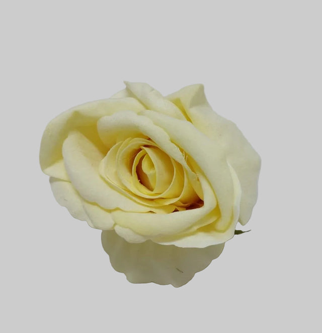 Cap trandafir catifea 8cm 12buc/pachet galben