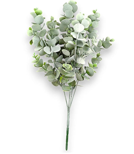 imagine produs Buchet eukalyptx5 H:35cm verde