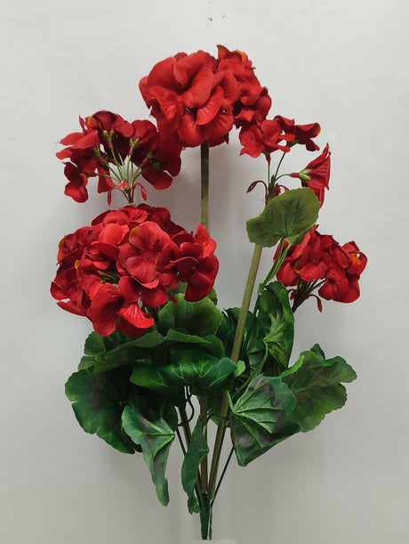 imagine produs Buchet muscate x8 H:47cm rosu