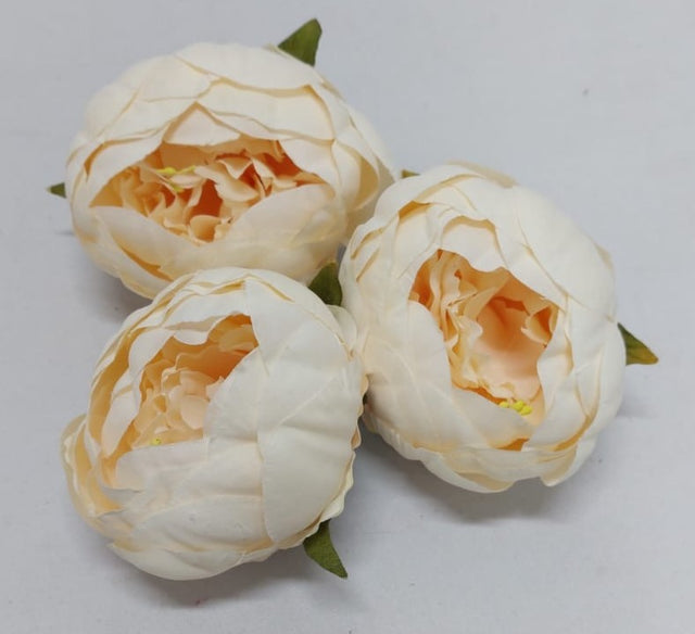 Capete peonie 8cm 12buc/pachet crem