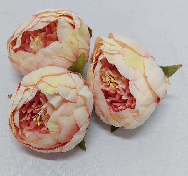 Capete peonie 8cm S/12 piersica