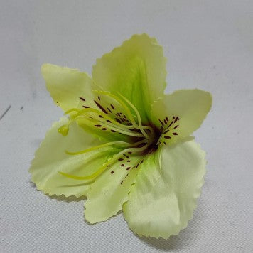 Cap astromelia S/24 verde