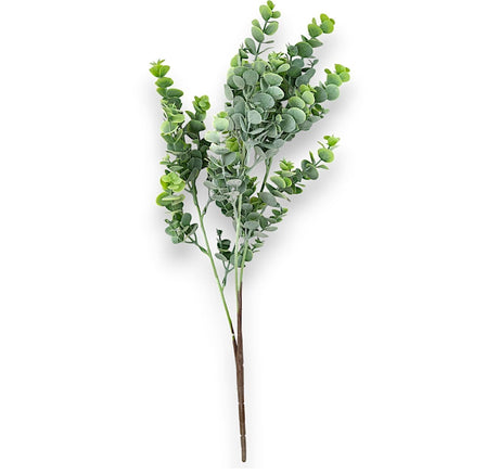 imagine produs Buchet eucalypt x3 H:56cm