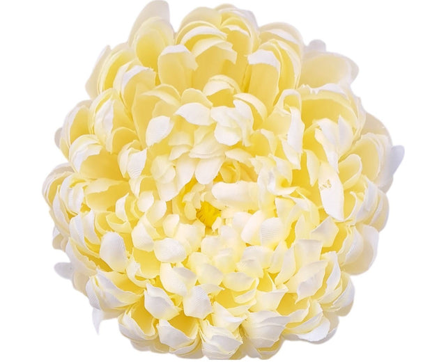 Cap crizanteme s/6 crem