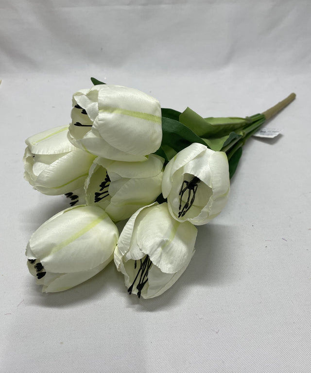 Buchet lalele x7 H:43cm alb