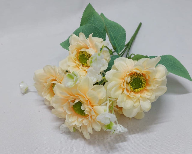 Buchet Dalie x5 piersica